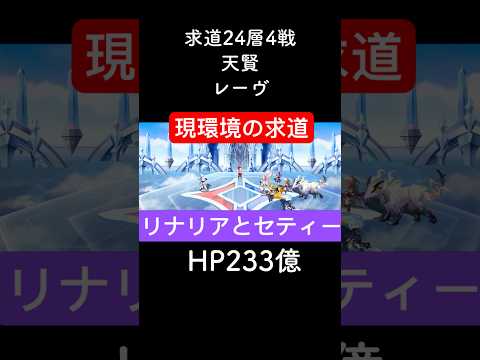【アナデン】求道24-4 久しぶりに求道で遊ぶドン【アナザーエデン】