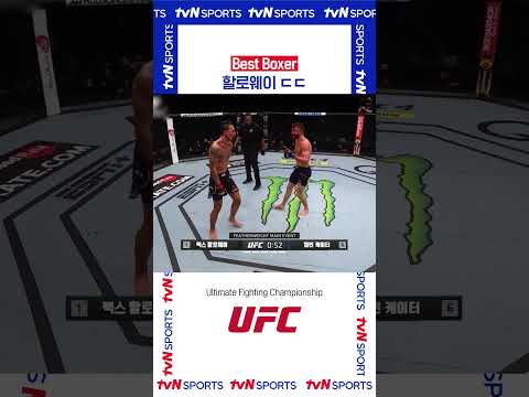Best Boxer 할로웨이 ㄷㄷ #UFC