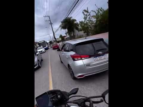 Dangerous park funny dinosaur