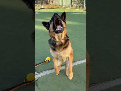 Все твои друзья женаты ￼😂 #shorts #арчи #прикол