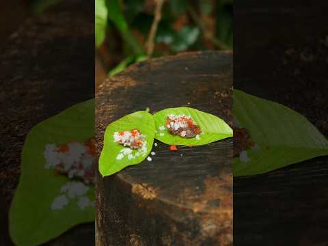 😍 90’s Kids Favourite Snack ✨ Guess This Treat 😋#shorts #villagelife