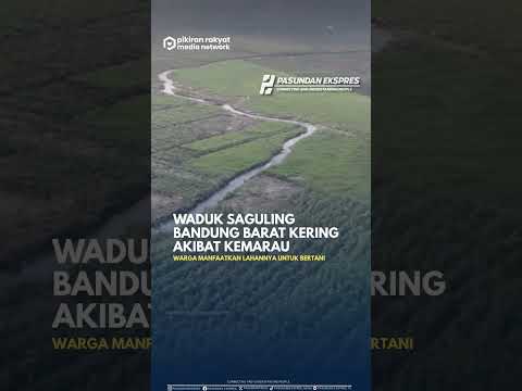Waduk Saguling Mengering, Warga Manfaatkan Jadi Tempat Bertani #shorts #bandungbarat #kekeringan