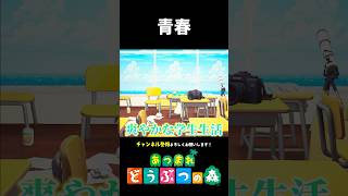 【あつ森】甘酸っぱい青春