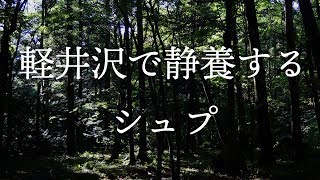 軽井沢で静養するシュプ