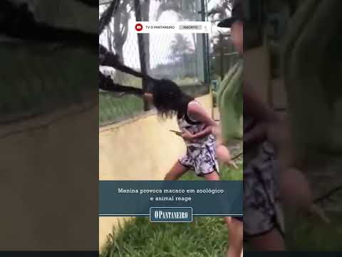 Menina provoca macaco em zoológico e animal reage