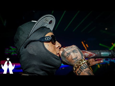 ROCHY RD - TIGUERE DK 2x1| EN VIVO 🔴