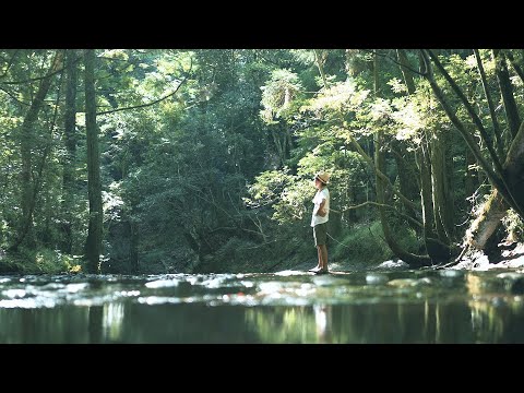 KOBE川の音ベース・キャンプ場と里山保全｜SDGs貢献都市神戸