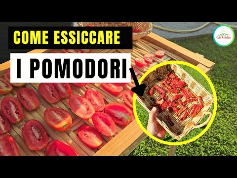 Come Essiccare I POMODORI - 2 METODI