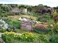 Permaculture at Hunter School