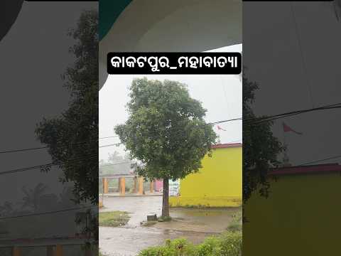 କାକଟପୁର_ମହାବାତ୍ୟା #hindumantra #streetfood #mohabatkasharbat #connaughtplace #food #delhi #foodie