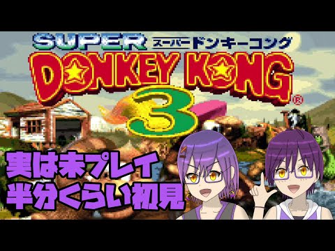 【スーパードンキーコング3】なんだかんだあって実は未プレイのやつやる #3