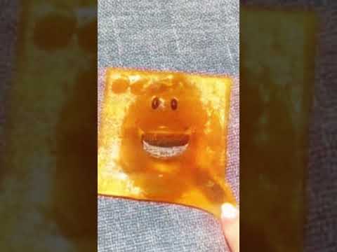 SHE TOOK MY PET CHEEZ