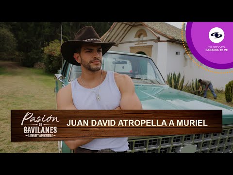 Juan David atropella a Muriel por accidente, ¿resulta herida de gravedad? - Pasión de Gavilanes | T2