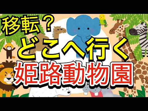 【なぜ移転?】どこへ行く姫路動物園 跡地はどうなる?「世界遺産姫路城の中にある動物園」の未来を徹底解説