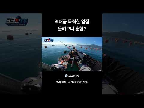 역대급 묵직한 입질 올려보니 <strong>홍합</strong>?