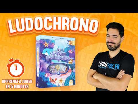 Ludochrono - Les P’tits Plongeurs