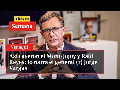 Así cayeron el Mono Jojoy y Raúl Reyes: lo narra el general (r) Jorge Vargas | Vicky en Semana