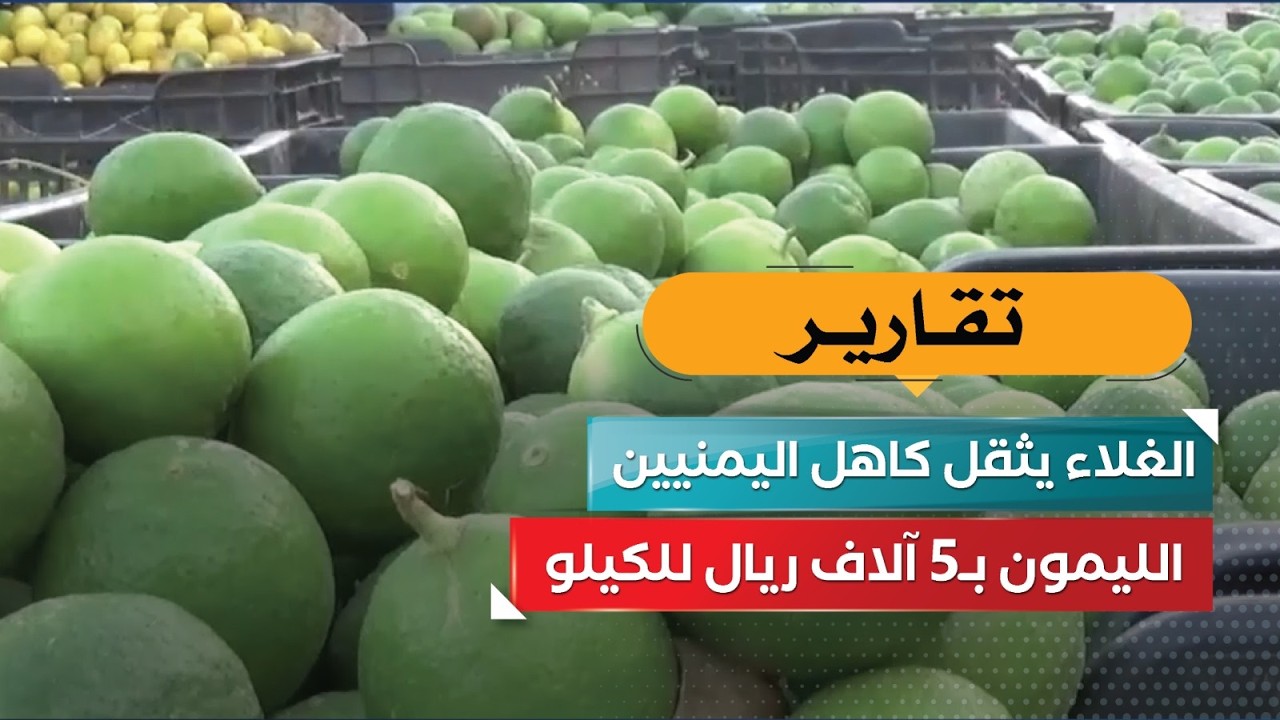 قناة السعيدة