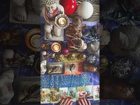 #551. TEL: +54 9 11 5056-0531. MAIL: tarotelmundoelsolylaestrella@hotmail.com