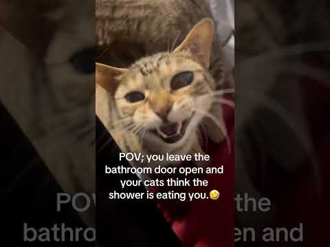 Comment Your Favourite Clip 😄