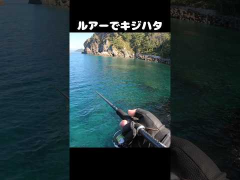 thumbnail_MAi5q6q8__Q