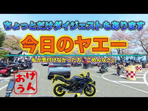 海津大崎の桜並木！まさかの音声トラブルでも「ヤエー」が繋いだ奇跡の瞬間！　【GSX-S1000GT モトブログ】