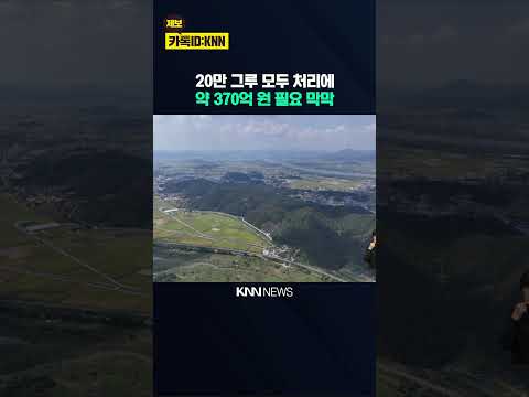[속보] 김해 피해목 20만 그루 눈앞.. 턱없이 부족한 방제예산 / KNN