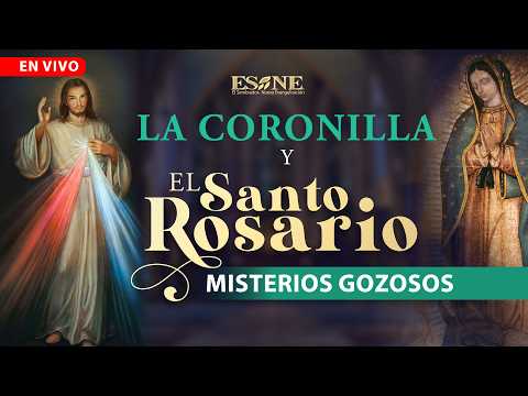 Hora Santa: El Espíritu Santo, la fuerza de Dios para vencer el combate espiritual