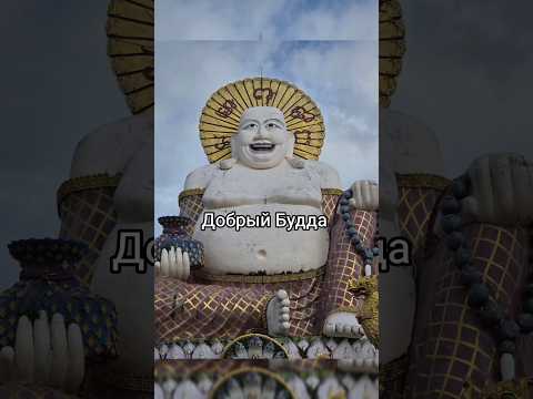 Онлайн путешествие - Таиланд 🪷#thailand #yogahubclub #travel #будда #йогаретрит #shortvideo