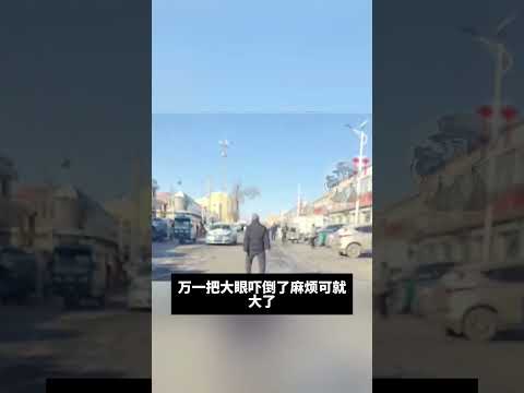 开车遇到这种情况#搞笑 #熱門 #搞笑配音 #搞笑影片 #搞笑视频 #搞笑小品 