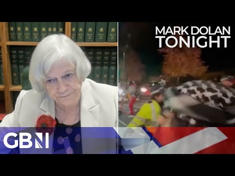 Ann Widdecombe: It'd be easy to pass a law saying no protests on Armistice Day or Remembrance Sunday