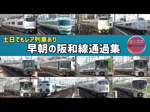【JR西日本】土曜早朝の阪和線通過集2024.4【続々列車】