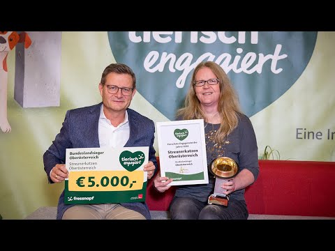 Goldener Fressnapf 2024 | Streunerkatzen Oberösterreich