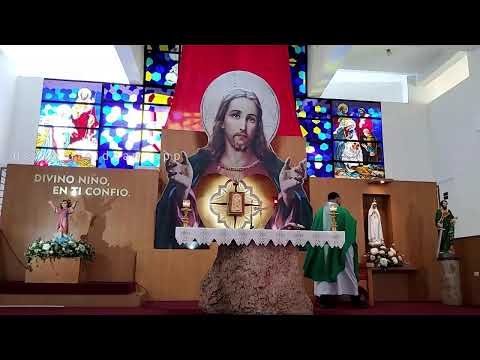 Santa Misa desde la Parroquia del Divino Niño, 7:00 a.m. Martes 25 de junio 2024