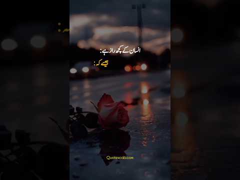 Life quotes in Urdu ❤️‍🩹✨ #shortsfeed #urdulines #whatsappstatus #shorts #urduquotes