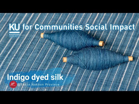 Indigo-Dyed-Silk-ผ้าไหม-ผ้าย้อ Indigo-Dyed-Silk-ผ้าไหม-ผ้าย้อ