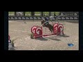 Show jumping horse ***Super Competitive Mare Placed 1.30m International Shows***