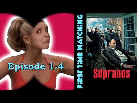 The Sopranos Season 3 Part 1 | Canadian First Time Watching | Reaction | Review | Commentary