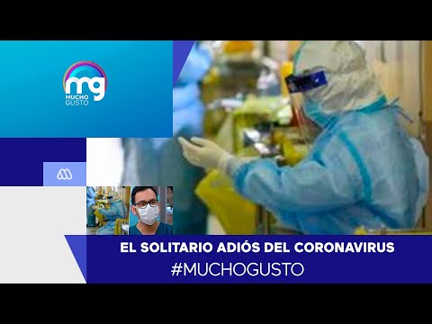 Doctor Kong analiza cifras de muerte por coronavirus en Chile - Mucho Gusto 2020