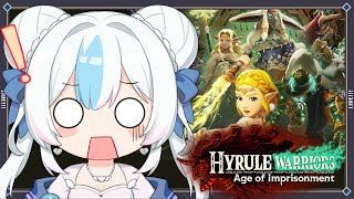 The War with Ganondorf Begins! 【Age of Imprisonment】