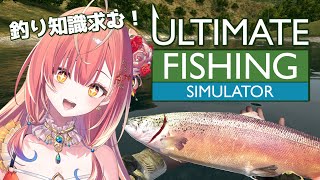 【 究極の釣りシミュレータ 】初心者でも大物が釣りタイ！集え釣り人！オラに知識を分けてくれ～！！！【紅波マダイ / うおむすめ】