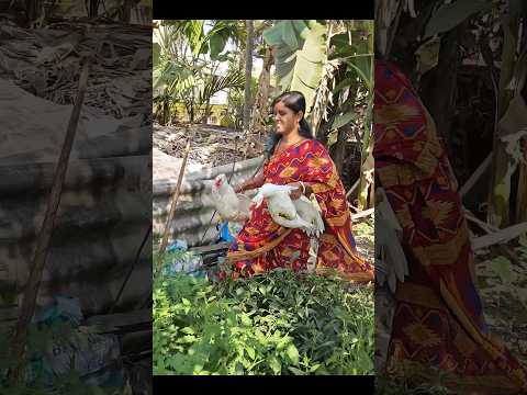 #viralshort #viralvideo