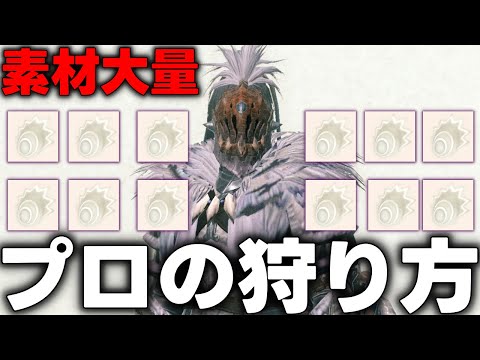 【素材爆集め】3部位破壊しながら★9ジャナフに何もさせずに狩る方法をプロが解説【モンハンNow】