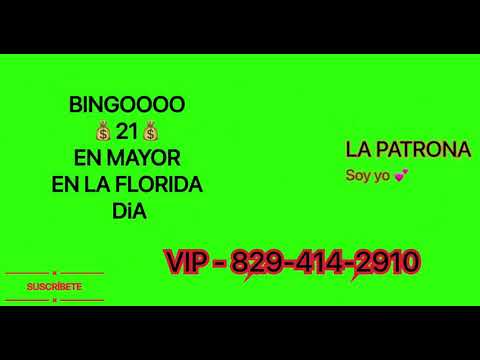 BINGOOOO 21 EN MAYOR EN LA FLORIDA TARDE ( LA PATRONA SOY YO )