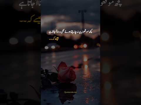 Deep Urdu Sad lines 🥹✨❤️‍🩹 #shortsfeed #sadstatus #shorts #whatsappstatus #urdulines