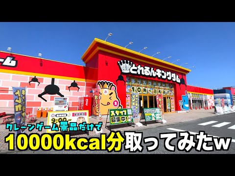 景品だけで10000kcal超えるまで帰れない地獄企画やってみたww【クレーンゲーム/UFOキャッチャー】〜高評価3000達成で企画継続〜