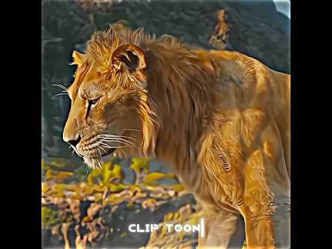 "Main Aur Tu Ek Nahi – Sher Ka Jawab!"#EmotionalScene#Mufasa raja