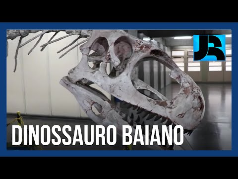 Nova espécie de dinossauro que viveu na Bahia é descoberta no RJ