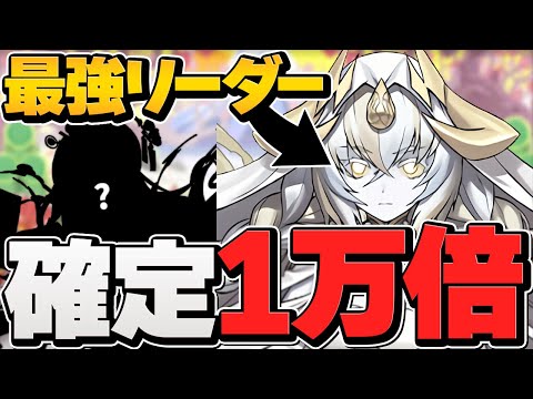 強リーダー候補！イライザの火力が高級すぎる！１万倍確定ループで新時代リーダーに！【パズドラ】