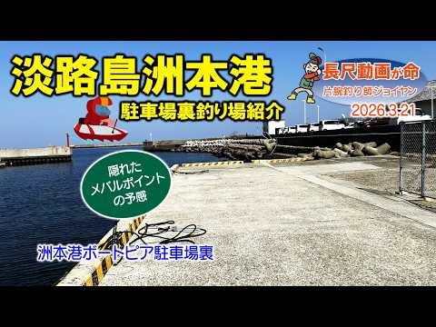 【淡路島 釣り】洲本港ボートピア駐車場裏釣り場紹介
